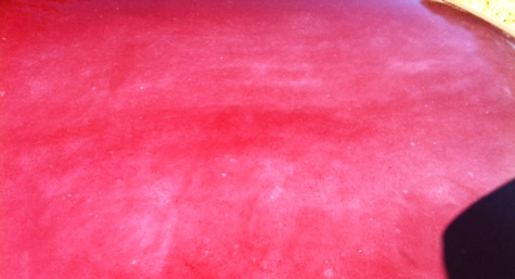 Removing Heavy Oxidation From Car Paint Removing Heavy Oxidation From Car Paint